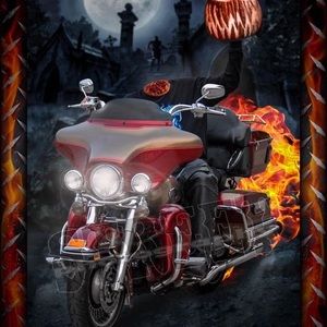 Meet your Posher, Bobby